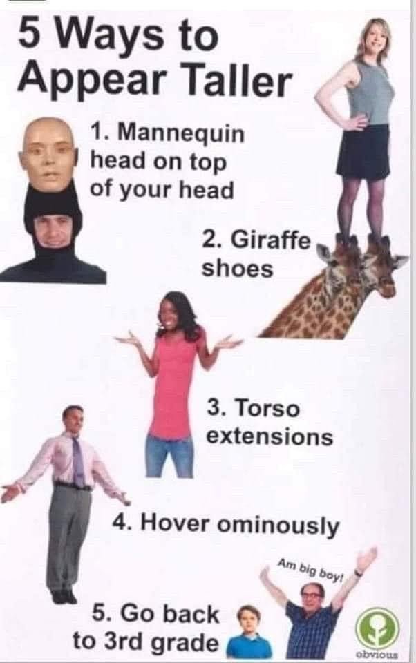 This is a comedic parody list meme titled '5 Ways to Appear Taller', which satirizes common self-help life hack content by listing 5 obviously absurd, impractical, and humorous fake methods for looking taller instead of legitimate tips. The 5 entries are: 1. Stack a mannequin head on top of your own head to add height, 2. Stand on top of two giraffes as 'giraffe shoes', 3. Add an elongated artificial torso extension to your body, 4. Hover ominously above the ground, 5. Stand next to a much smaller 3rd grade child while yelling 'Am big boy!' to appear tall by comparison. All visuals are edited stock photos paired with the ridiculous text for maximum comedic effect.