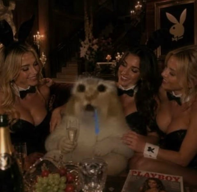 The image displays a light, fluffy baby seal plush toy positioned at the center of a couch at an upscale, dimly lit adult party. The plush is holding a champagne glass, has a blue straw sticking out of its mouth, and is flanked by three women dressed as Playboy bunnies in black strappy outfits, black bow ties, and bunny ear headbands. The women are all smiling and looking affectionately at the plush, framing it as the center of attention. Visible elements in the foreground include a bottle of champagne, a fruit platter with grapes, and an issue of Playboy magazine. A framed Playboy bunny logo hangs on the wall in the background. The humor of the image derives from the absurd juxtaposition of an innocent, childish stuffed toy placed in a glamorous, adult party environment as if it is an invited guest participating in the festivities.