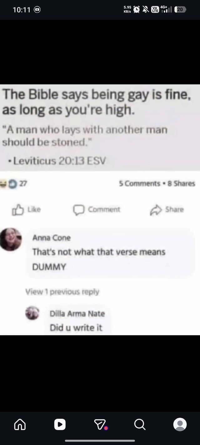 This is a mobile screenshot of a social media post featuring a popular pun based on the English translation of the Bible verse Leviticus 20:13. The original post jokes that the Bible says being gay is acceptable as long as you are high, playing on the double meaning of the word 'stoned': the original meaning of being executed by throwing stones, versus the modern slang meaning of being intoxicated by drugs. After the original post, commenter Anna Cone replies correcting the poster, calling them a dummy for misinterpreting the verse, and commenter Dilla Arma Nate responds with the deadpan question 'Did u write it', which is a funny retort pointing out that the wording of the verse is exactly what it says, making Anna's correction technically unnecessary for the wordplay joke.