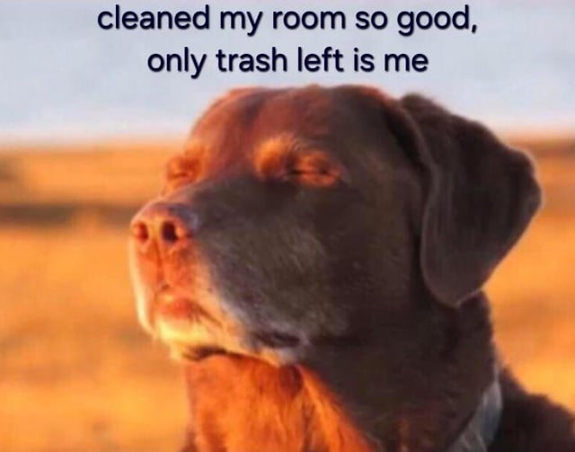 This meme shows a chocolate Labrador retriever with its eyes closed, looking calm and resigned as it bathes in warm golden sunset light. The overlaid text reads 'cleaned my room so good, only trash left is me'. The joke is a relatable self-deprecating gag: after thoroughly cleaning a room and removing all actual trash, the creator humorously frames themselves as the only remaining 'trash' in the space, poking fun at their own low self-esteem in a lighthearted, humorous way.