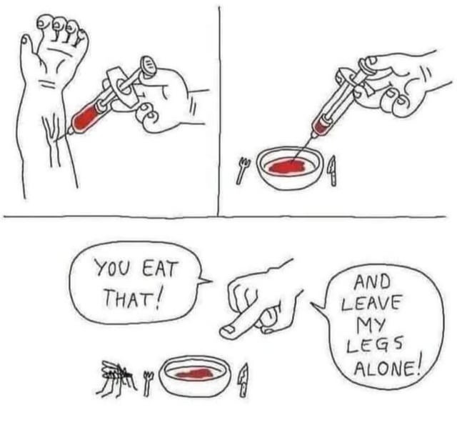 This is a 3-panel hand-drawn line art comic meme. The first panel shows a hand using a syringe to draw red blood from a person's exposed foot/ankle. The second panel shows the same hand injecting the collected blood into a small bowl that is set with a tiny fork and knife, as if prepared for a meal. The third panel shows the hand pointing at a mosquito standing next to the bowl, with two speech bubbles: the first says "YOU EAT THAT!", the second adds "AND LEAVE MY LEGS ALONE!". The joke is a humorous, over-the-top proposed solution to the common frustration of mosquitoes biting people to consume their blood, offering an alternate source of blood so the pests stop attacking humans.