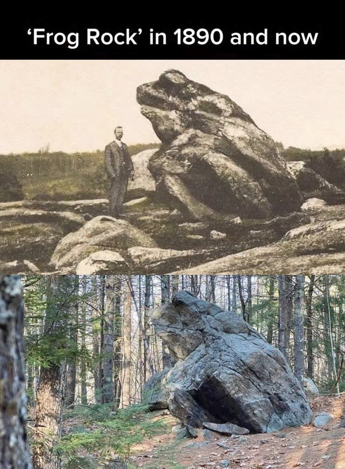 A side-by-side comparison image showing 'Frog Rock' in 1890 and in modern times. The top half is a historical black-and-white photograph from 1890 featuring a man in a suit standing next to a large rock formation resembling a frog. The bottom half is a modern color photograph of the same rock formation, now surrounded by trees, highlighting minimal structural changes over more than a century.