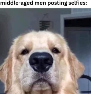 A meme featuring a close-up photograph of a golden retriever dog with a neutral, slightly serious expression staring directly at the camera. The text above the dog reads 'middle-aged men posting selfies:', humorously implying a comparison between the stereotypical demeanor of middle-aged dads (often referred to as 'Facebook dads') when posting selfies on social media and the dog's earnest, unassuming gaze.