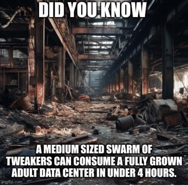 This is an absurdist satirical meme featuring an image of a completely gutted, destroyed, abandoned large industrial building implied to be a former data center. It mimics the format of educational nature documentary facts, with bold white text at the top reading 'DID YOU KNOW' and matching text at the bottom making the deadpan joke that a medium sized swarm of tweakers (slang for people living with methamphetamine addiction, who are stereotypically known for scavenging scrap metal and electronic parts for resale to fund their addiction) can consume a fully grown adult data center in under 4 hours. The joke frames tweakers as a natural predator species that preys on data center infrastructure, referencing real-world widespread issues of scrap theft targeting industrial and tech sites.