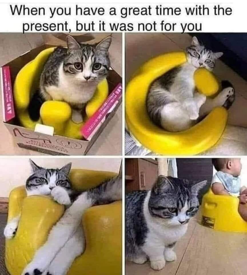 This 4-panel funny meme tells a relatable story: a tabby cat finds a new yellow baby seat in its packaging, assumes it's a comfortable new bed/gift meant for itself, and enjoys it across the first three panels, sitting inside it, curling up, and lounging very comfortably. The final panel reveals the yellow seat is actually a baby support seat intended for the human infant that is now sitting properly in it, leaving the cat sitting on the floor looking sad and disappointed. The top text summarizes the common relatable experience of enjoying something only to learn it was never meant for you.