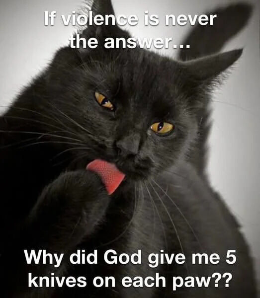 A meme featuring a close-up photograph of a black cat licking its paw. The image has two lines of text: the top text reads 'If violence is never the answer...' and the bottom text humorously questions 'Why did God give me 5 knives on each paw??' The joke playfully refers to the cat's claws as 'knives,' creating a lighthearted and wholesome tone.