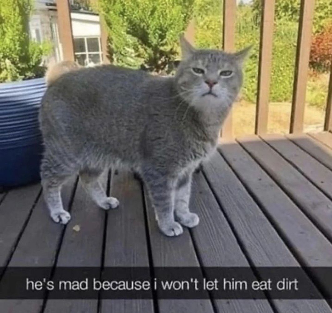 The image features a chubby gray tabby cat standing on a dark wooden outdoor deck. The cat has a visibly annoyed, grumpy, unimpressed facial expression as it stares directly at the camera. White text on a black translucent overlay at the bottom of the image reads 'he's mad because i won't let him eat dirt'. The background includes wooden railings, green leafy bushes, a residential house, and a large blue plastic container to the left of the cat. The humor of the meme comes from the absurdity of the cat being angry over a strange, unhealthy desire to eat dirt, which is perfectly matched by its annoyed demeanor.