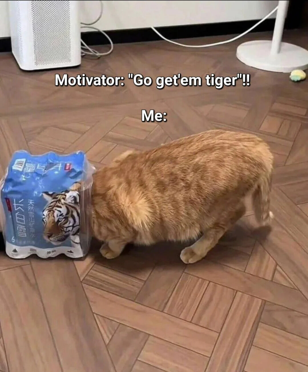 A humorous meme featuring a real ginger cat interacting with a blue package that has a tiger's face printed on it. The top text reads 'Motivator: "Go get'em tiger"!!' and below, 'Me:' pointing to the cat, which is nuzzling or sniffing the tiger-themed package. The setting includes a wooden parquet floor, a white air purifier, and a floor lamp base in the background, creating a cozy indoor scene. The joke plays on the phrase 'Go get 'em tiger' by showing the cat literally engaging with a 'tiger' (on the package), humorously representing the 'me' character's reaction to motivation.