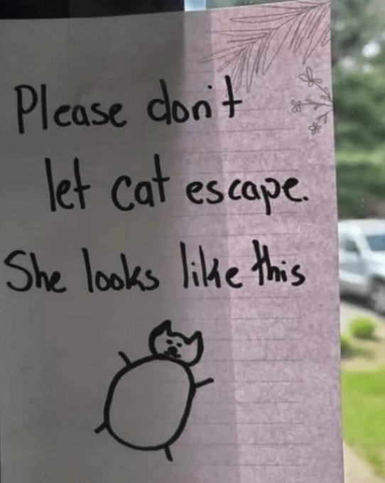 This image shows a handwritten note taped to a glass window, with a blurred outdoor background featuring green grass, a parked car, and trees visible behind the glass. The note is written on pale purple lined paper with small decorative doodles of pine branches and flowers in the top right corner. The handwritten text reads "Please don't let Cat escape. She looks like this", followed by an extremely crude, simplified stick figure drawing of a very round cat with tiny stick legs, a small cat head with pointed ears, and a neutral basic facial expression. The core joke of the meme comes from how unhelpful and vague the drawing is, as it bears almost no resemblance to a real cat and would be completely useless for identifying the pet if it did escape.