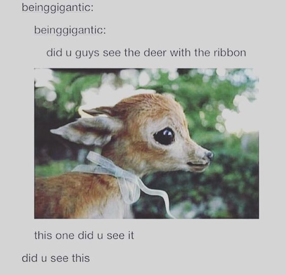 This image is a screenshot of a social media post from user 'beinggigantic'. The post opens with the question asking if other users saw the deer wearing a ribbon, followed by a photo of a very young baby fawn with large dark eyes, wearing a soft pale ribbon tied around its neck. The fawn is positioned against a blurred, sunlit green outdoor background with bokeh light effects. The poster repeats their question, emphasizing excitement about the cute, unusual sight of the accessorized deer, aiming to share the heartwarming animal sighting with others.