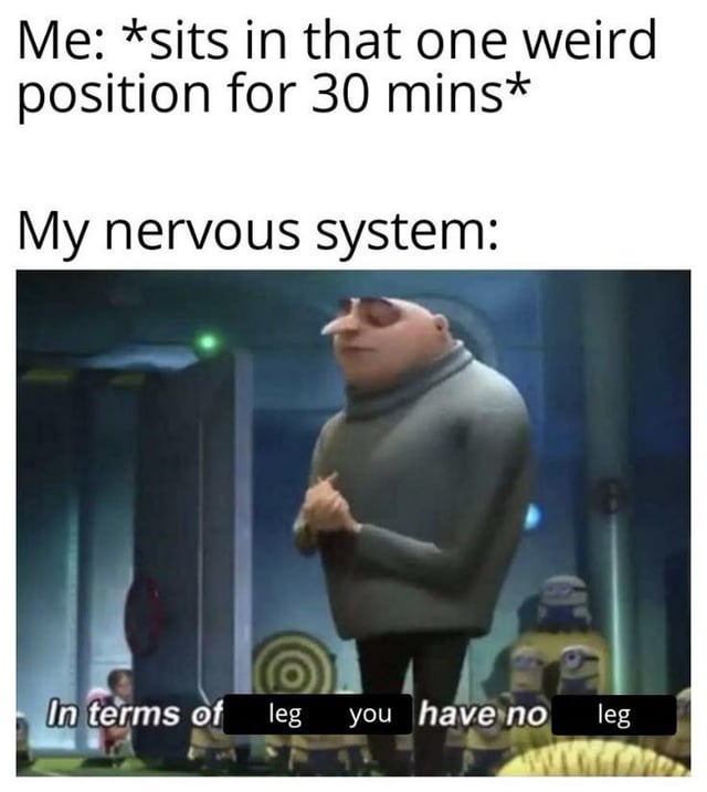 This is a relatable humorous meme consisting of text above a screenshot from the Despicable Me franchise. The top text reads: 'Me: *sits in that one weird position for 30 mins*', followed by 'My nervous system:'. Below this is an image of the character Gru, with edited subtitles stating 'In terms of leg you have no leg'. The joke references the common, relatable experience of a leg falling asleep (developing pins and needles/numbness) after staying in an awkward seated position for an extended period, framing the nervous system as bluntly informing the person their leg is temporarily non-functional.