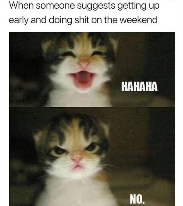 A two-panel meme featuring a kitten expressing humorous reluctance towards early weekend plans. The top panel shows the kitten with its mouth open, appearing to laugh, accompanied by the text 'HAHAHA'. Above this panel, the caption reads 'When someone suggests getting up early and doing shit on the weekend'. The bottom panel shows the same kitten with a stern, serious expression and the text 'NO.' below it, creating a comedic contrast between initial laughter and firm refusal.