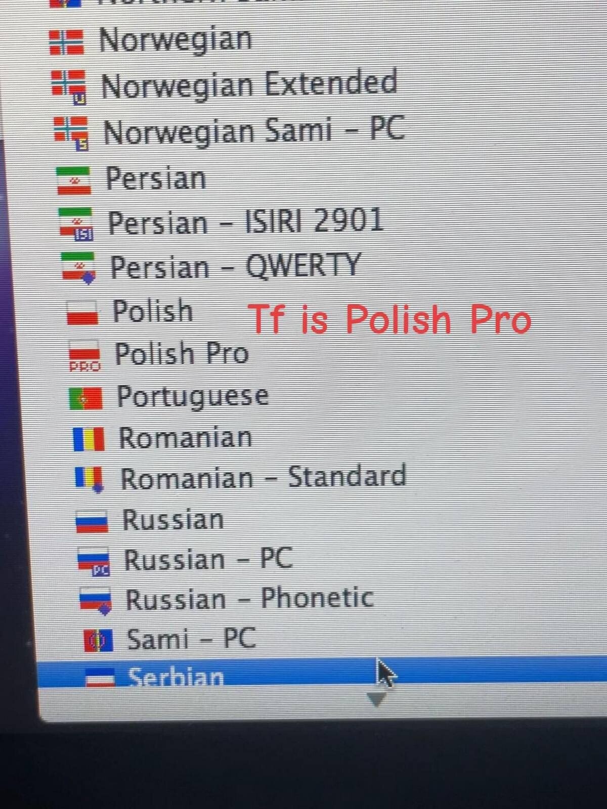 This image is a close-up photograph of a computer screen displaying a Windows operating system keyboard layout selection menu. The menu lists a variety of language-specific keyboard layouts including Norwegian, Persian, Portuguese, Romanian, Russian, and Serbian, each paired with their respective country flags. Among the entries are two Polish options: standard 'Polish' and an unexpected 'Polish Pro' entry, whose associated Polish flag has 'PRO' text added to it. Bold red text is overlaid directly next to the standard Polish entry that reads 'Tf is Polish Pro', a casual confused question expressing bewilderment at the existence of a supposed 'pro' version of the Polish keyboard layout, humorously applying premium product naming conventions to a standard system utility.