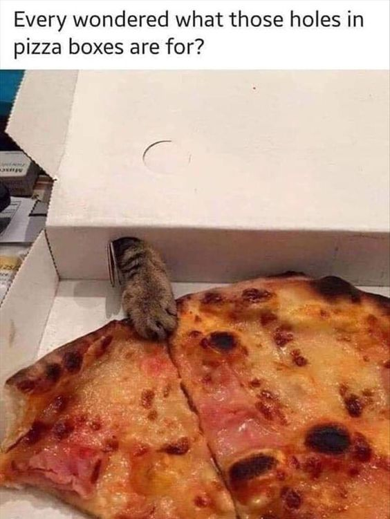 The image shows an open pizza box containing a pizza with melted cheese and some charred spots. A cat's paw is reaching through a circular hole in the top of the pizza box, appearing to touch or grab the pizza inside. Above the image, there is text that reads: 'Every wondered what those holes in pizza boxes are for?'