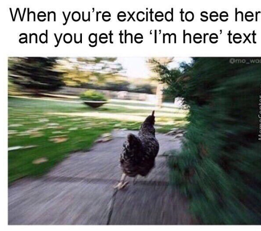 The meme consists of a top text section and a photo below it. The text reads 'When you're excited to see her and you get the 'I'm here' text'. The photo below is heavily motion-blurred, showing a black and white speckled chicken running quickly down a paved garden path surrounded by grass and greenery. The motion blur effect emphasizes the chicken's fast speed, which acts as a humorous visual metaphor for the overeager, rushed reaction someone has when the person they are romantically interested in notifies them they have arrived at the planned meeting spot.