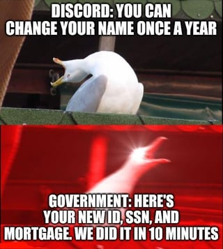 This two-panel meme uses contrasting reaction images to satirize inconsistent bureaucracy and platform policies. The top panel features a shocked, squawking seagull with text stating **DISCORD: YOU CAN CHANGE YOUR NAME ONCE A YEAR**, highlighting the restrictive, slow policy for a minor online service. The bottom panel uses a glowing red hand (from the celebratory 'We Did It' reaction meme format) with text: **GOVERNMENT: HERE'S YOUR NEW ID, SSN, AND MORTGAGE. WE DID IT IN 10 MINUTES**, exaggerating the speed of typically slow government services for major, high-impact documents. The humor comes from the absurd juxtaposition of a trivial online action being overly restricted, while life-altering real-world bureaucracy is portrayed as unexpectedly fast.