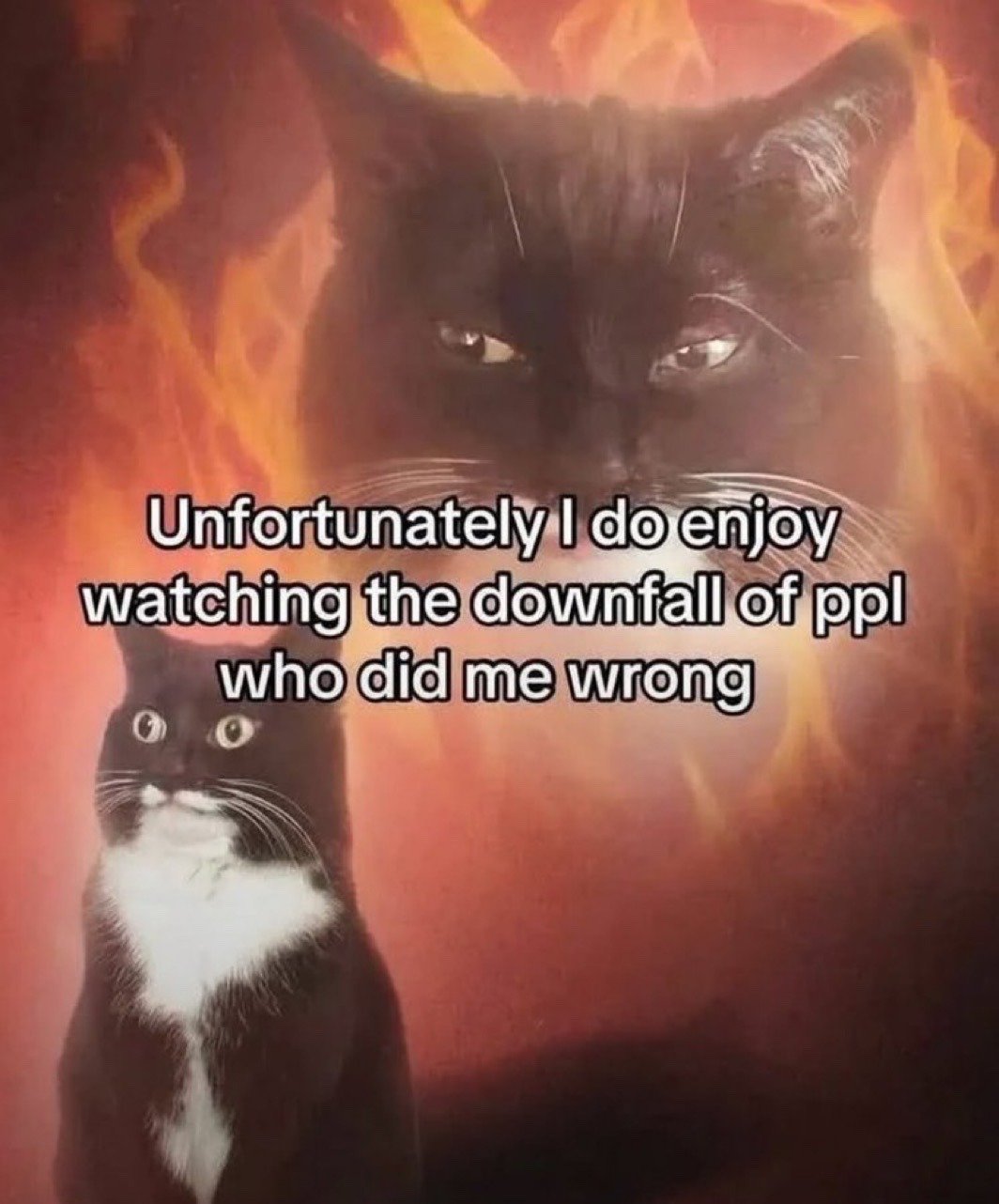 The meme is set against a bright orange, fiery hell-like background. A large, menacing black cat with a smug, half-lidded vindictive expression is partially obscured by flames in the upper background, representing the poster's private internal feelings. In the lower foreground, a small tuxedo cat with a wide-eyed, innocent expression sits facing the viewer, representing the harmless face the poster shows to the public. Overlaid white text with a black outline across the center of the image reads: 'Unfortunately I do enjoy watching the downfall of ppl who did me wrong'. The joke plays on the common relatable feeling of secretly feeling pleased when people who have harmed you face negative consequences, even if you act unaffected publicly.