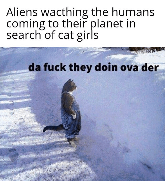 This meme consists of two text sections paired with a viral edited photo. The top text reads 'Aliens waching [sic] the humans coming to their planet in search of cat girls'. The lower section shows a brown and white cat standing upright in a snowy outdoor area, wearing denim overalls and looking out into the distance, with overlaid text reading 'da fuck they doin ova der' (phonetic internet slang for 'what the fuck are they doing over there'). The joke plays on common nerd/sci-fi tropes of humans being obsessed with cat girl characters, framing the confused anthropomorphic cat as an alien bewildered by this strange human priority even during interplanetary travel.