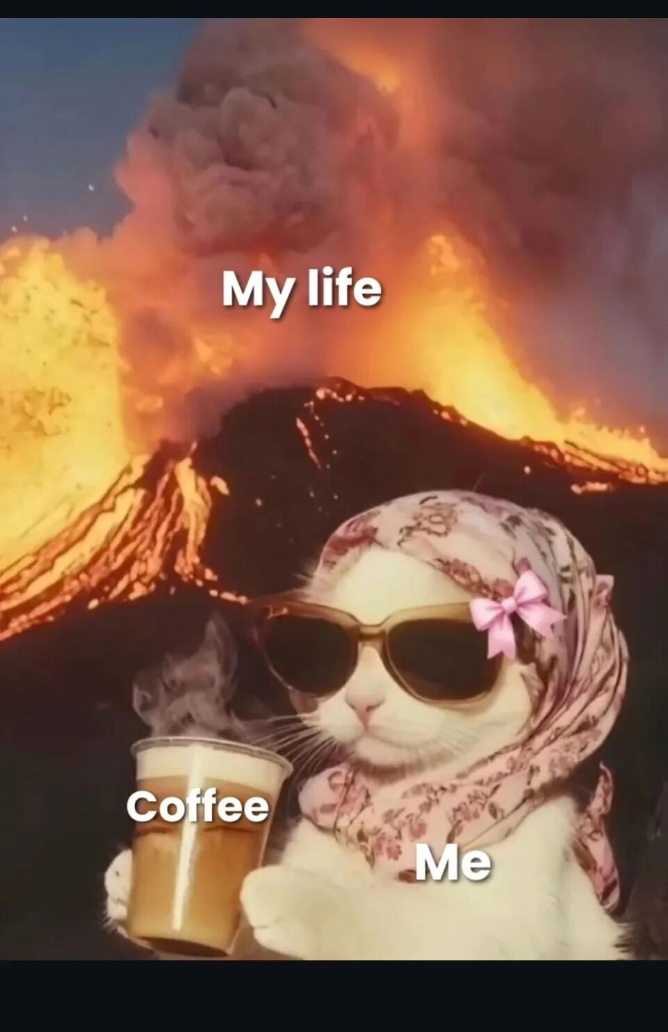 A humorous and wholesome meme featuring a white cat dressed in a floral headscarf with a pink bow and sunglasses, calmly holding a steaming cup of coffee. In the background, a massive volcano erupts with lava and smoke, labeled 'My life' to represent chaos. The cat is labeled 'Me', creating a contrast between the chaotic 'life' and the cat's calm demeanor while enjoying coffee.
