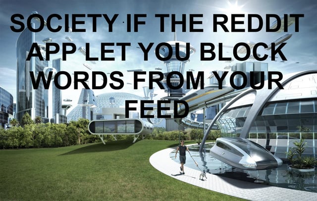 This meme pairs an idyllic, futuristic utopian cityscape with bold, centered text to make a humorous point about Reddit platform functionality. The background image shows a sleek, advanced world with modern architecture, green public spaces, high-speed transit, and a calm person walking a small robotic pet. The overlaid text reads: "SOCIETY IF THE REDDIT APP LET YOU BLOCK WORDS FROM YOUR FEED". The joke satirizes the frustration of Reddit users, framing the addition of a word-blocking feature for feeds as a transformative change that would create an almost perfect, utopian online experience. It exaggerates the impact of this missing feature by comparing its implementation to an idealized, problem-free world.