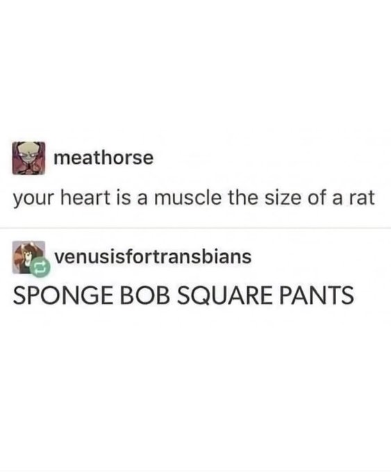 This image is a screenshot of two consecutive social media posts forming a viral humorous joke. The first post by user 'meathorse' states 'your heart is a muscle the size of a rat'. The second reply post by user 'venusisfortransbians' is written in all caps as 'SPONGE BOB SQUARE PANTS'. The joke works because the phrase 'SpongeBob SquarePants' has an identical rhythm and cadence to the end of the first post's statement, creating an unexpected, perfectly fitting non-sequitur punchline that is completely unrelated to the original fact about heart size.