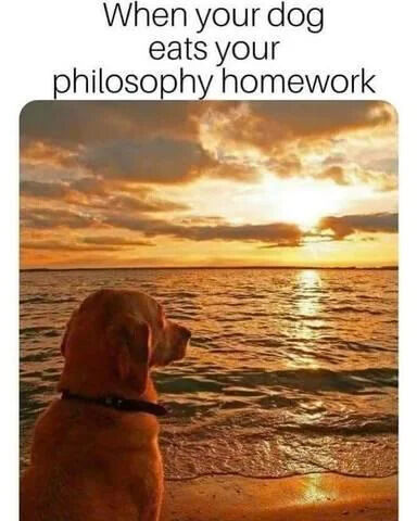 The image features a humorous meme with text at the top reading 'When your dog eats your philosophy homework' above a serene photograph of a dog (likely a golden retriever) sitting on a beach at sunset. The dog, wearing a collar, is positioned facing the ocean, with golden sunlight reflecting on the water and a sky filled with soft, orange-tinged clouds. The combination of the classic 'dog ate my homework' excuse with 'philosophy' adds a playful, relatable twist, contrasting the calm beach scene with the implied student panic of lost homework.