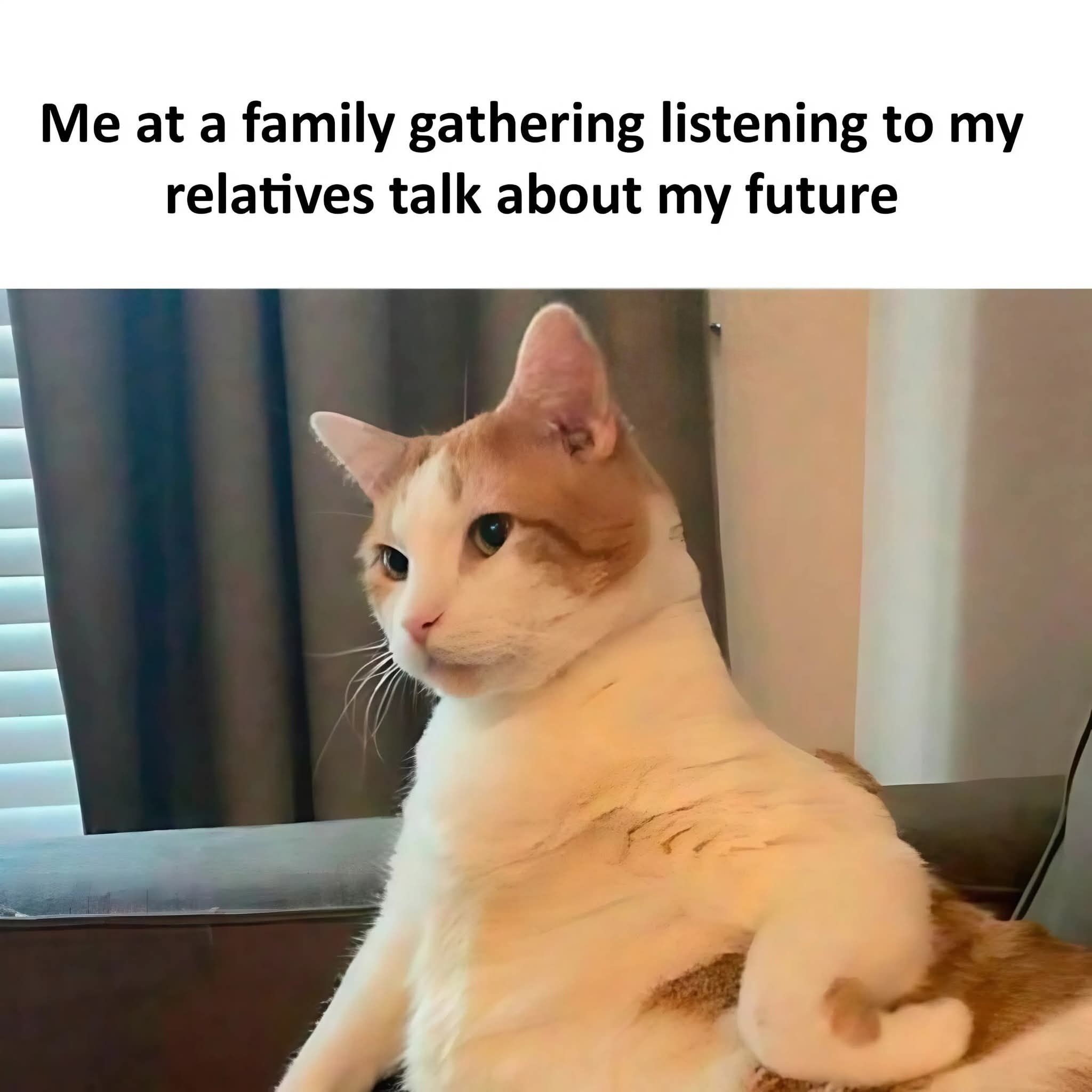 The meme consists of a text caption at the top and a photo of an orange and white domestic cat below it. The top caption reads 'Me at a family gathering listening to my relatives talk about my future'. The cat is sitting upright on a couch, looking off to the side with a blank, unenthusiastic, resigned expression that perfectly embodies the awkward, uninterested feeling of being forced to listen to unsolicited opinions about one's life plans from family members during family events.