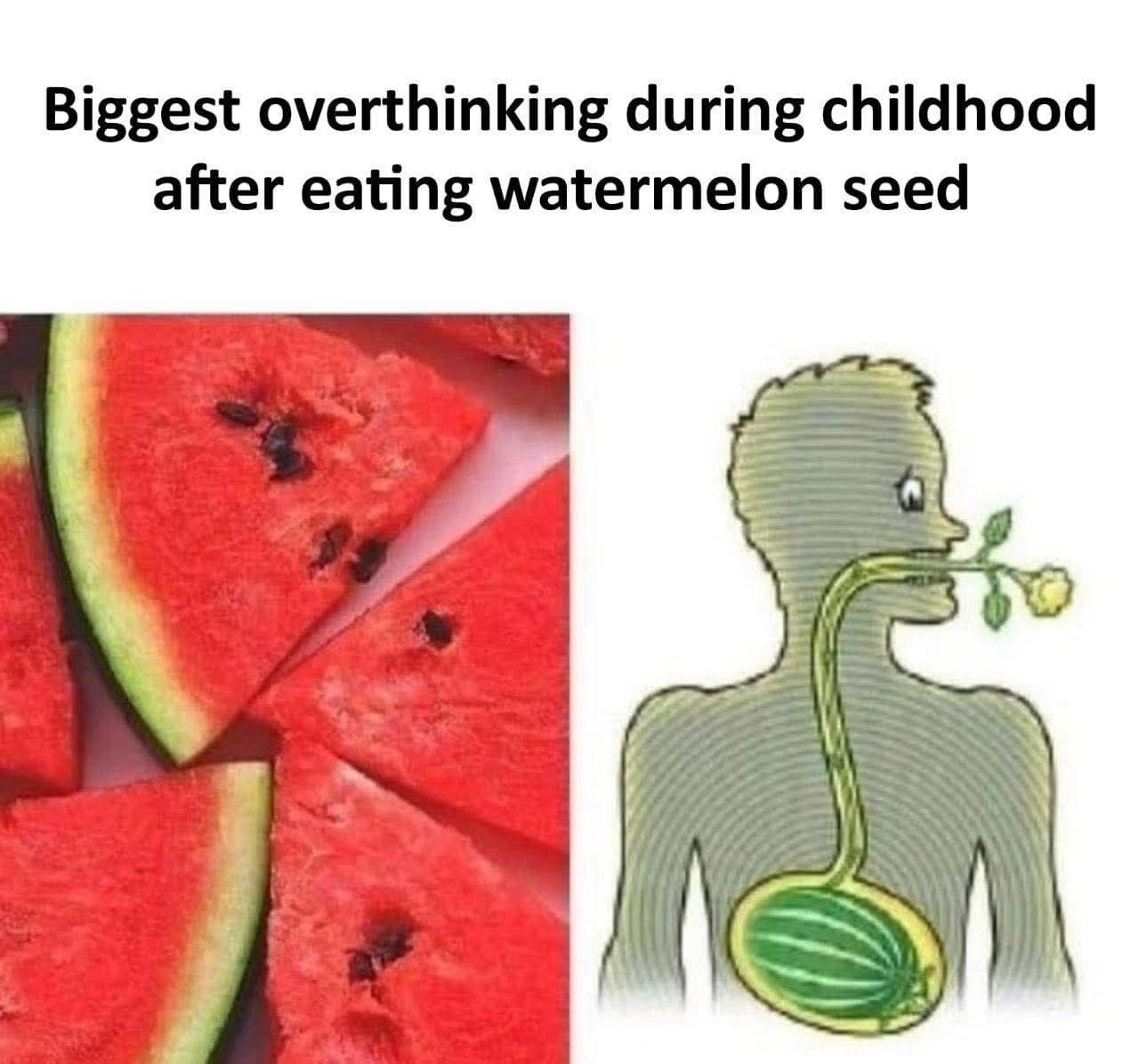 This two-panel relatable meme references a common widespread childhood myth. The text at the top reads 'Biggest overthinking during childhood after eating watermelon seed'. The left panel shows a close-up of fresh red watermelon slices with visible black seeds. The right panel features a simple cartoon illustration of a person with a fully grown watermelon inside their stomach, with a plant stem extending up their throat, out of their mouth, and ending in a small yellow flower, visualizing the common childhood fear that swallowing a watermelon seed will cause a whole watermelon plant to grow inside the body.