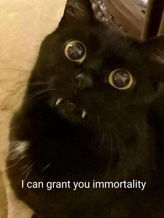 A close-up photograph of a black cat with striking large, round yellow eyes and prominent fangs, positioned to look upward. The cat's expression is intense yet playful, with its mouth slightly open to reveal small, pointed teeth. At the bottom of the image, white text reads 'I can grant you immortality,' creating a humorous juxtaposition between the cat's appearance and vampire-like supernatural claims. The title 'Vampurrrrr' (a pun combining 'vampire' and 'purr') reinforces the playful vampire theme.