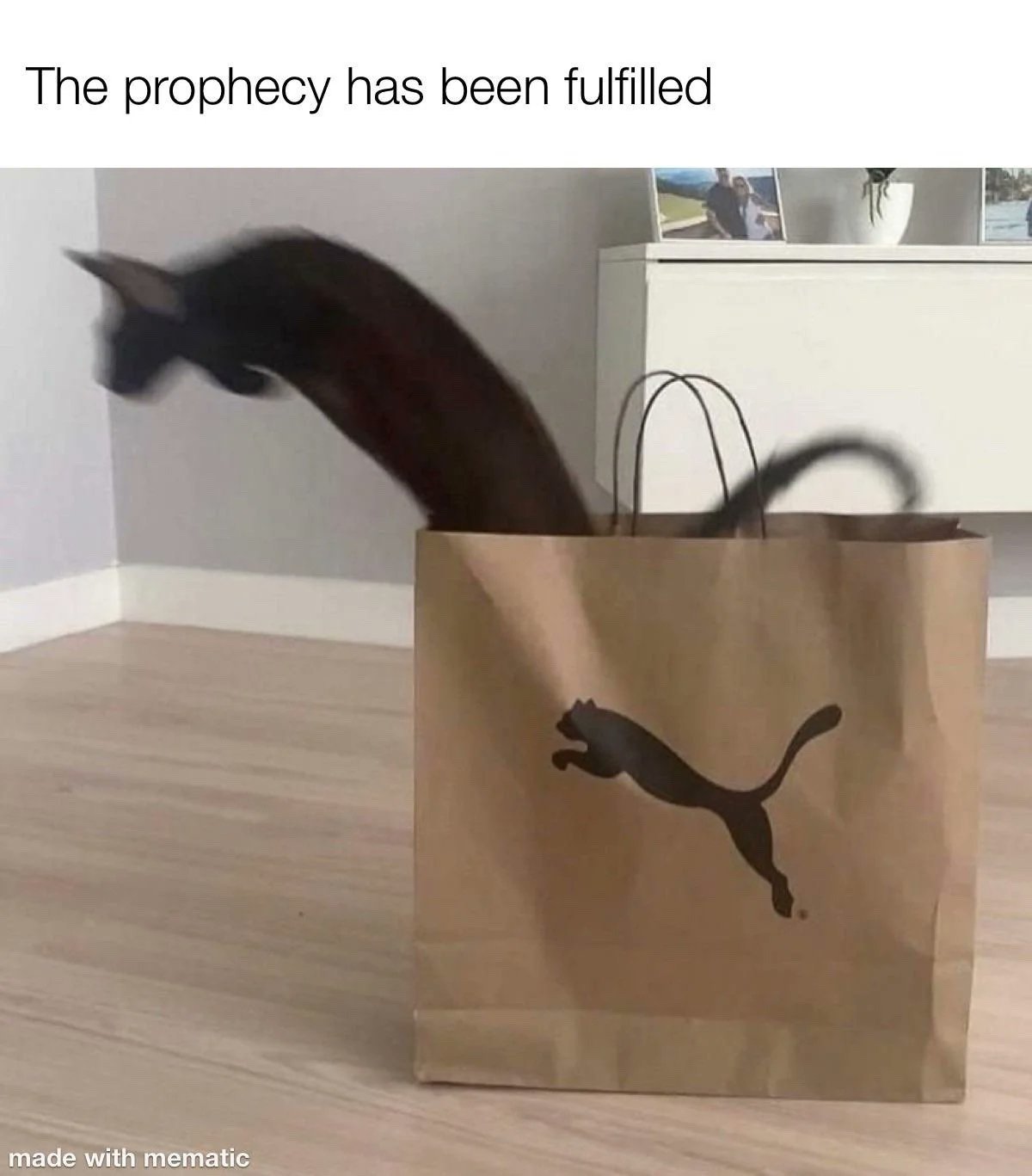 The meme consists of a top text line above a real photograph taken in a residential room. The photograph shows a light brown paper shopping bag printed with the Puma brand's iconic leaping puma logo, set on a pale wooden floor, with a white storage cabinet holding photo frames and a small plant visible in the background. A motion-blurred black cat is captured mid-jump as it leaps out of the open top of the bag, its arched body and outstretched limbs perfectly matching the pose of the puma logo printed on the front of the bag. The text at the top reads 'The prophecy has been fulfilled', playing on the humorous coincidence that the cat's pose exactly matches the logo, as if the brand's logo has come to life. A small 'made with mematic' watermark is present at the bottom left corner of the image.