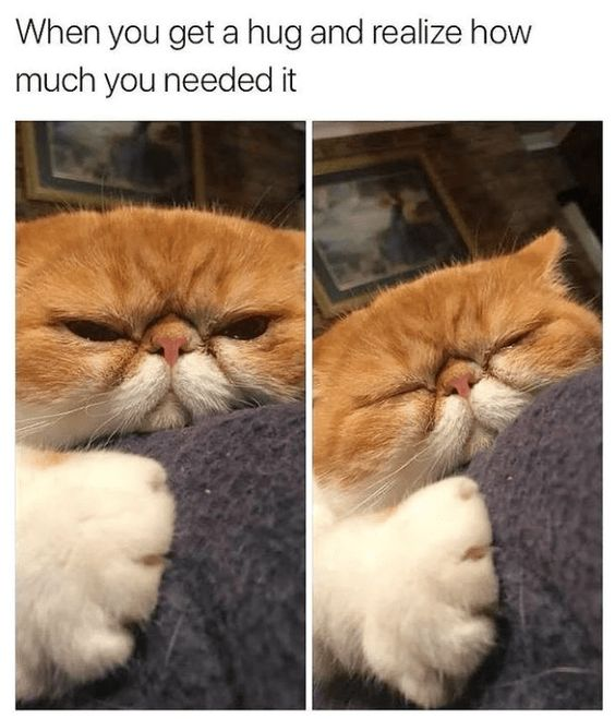 This is a two-panel relatable wholesome meme featuring a real orange flat-faced Exotic Shorthair cat. Top text reads 'When you get a hug and realize how much you needed it'. In the left panel, the cat has half-open, tired tense eyes while leaning against a soft grey blanket. In the right panel, the cat fully closes its eyes and relaxes completely into the blanket, looking relieved and content. The meme uses the cat's changing expressions to perfectly capture the relatable human feeling of finally receiving a hug after being stressed or lonely, when you did not even realize how much you needed that comfort.