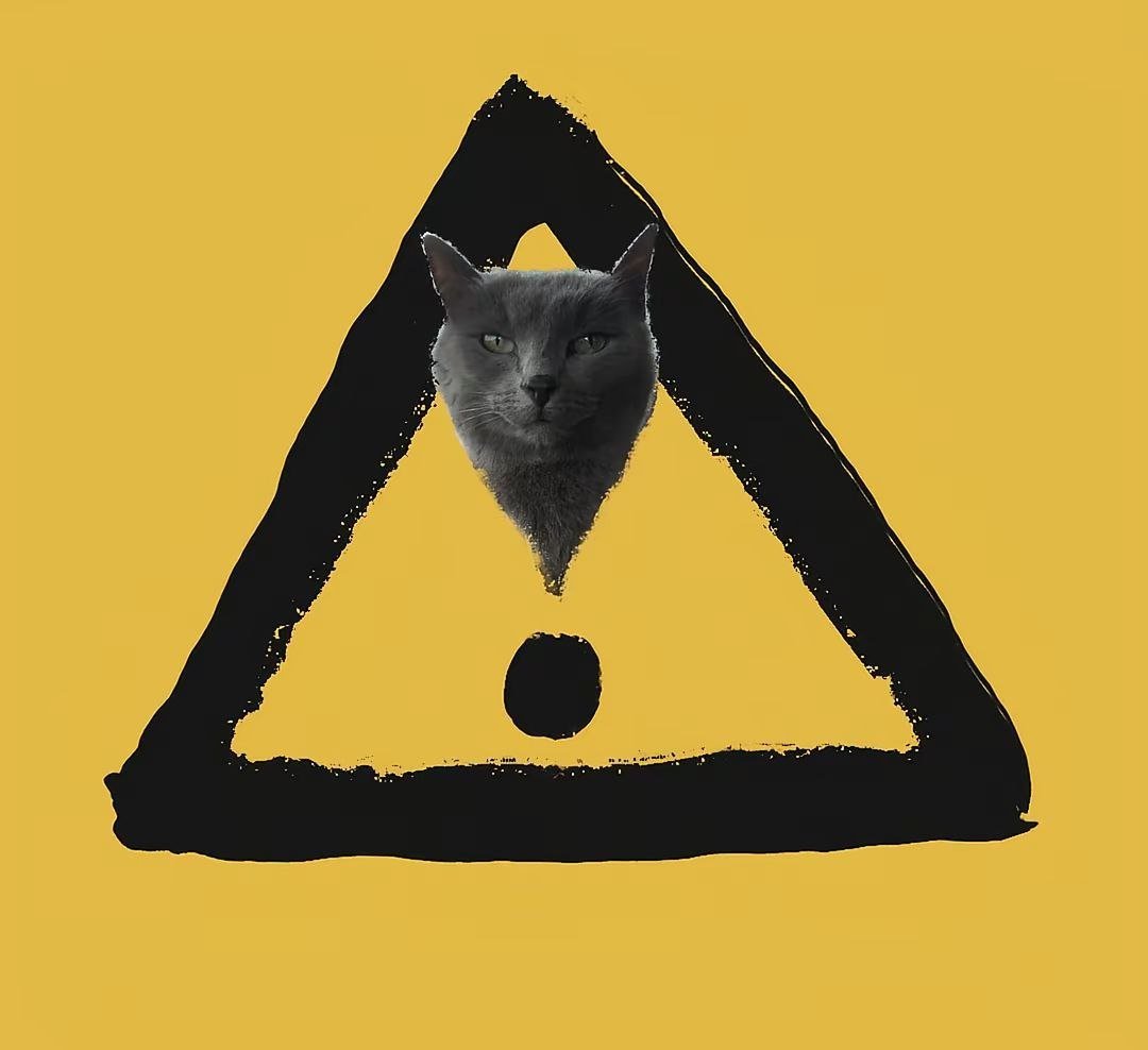 This meme creates a humorous visual pun by editing the head of a neutral-looking grey cat into a standard yellow triangular warning sign, replacing the upper part of the exclamation mark. The black outline of the triangle has a rough, brushstroke-like texture, and the cat's unamused expression adds to the absurd, lighthearted tone of the image. The background matches the yellow of the warning sign, making the edited cat head stand out against the familiar safety symbol.
