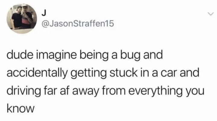 This image is a screenshot of a public post from X (formerly Twitter). The post is a casual, humorous, absurdist thought experiment that asks readers to consider the perspective of an insect that accidentally gets trapped inside a moving car, ending up extremely far away from its habitat and everything it is familiar with. The post uses casual internet slang to deliver its lighthearted, relatable observation about a common small, unconsidered everyday occurrence.