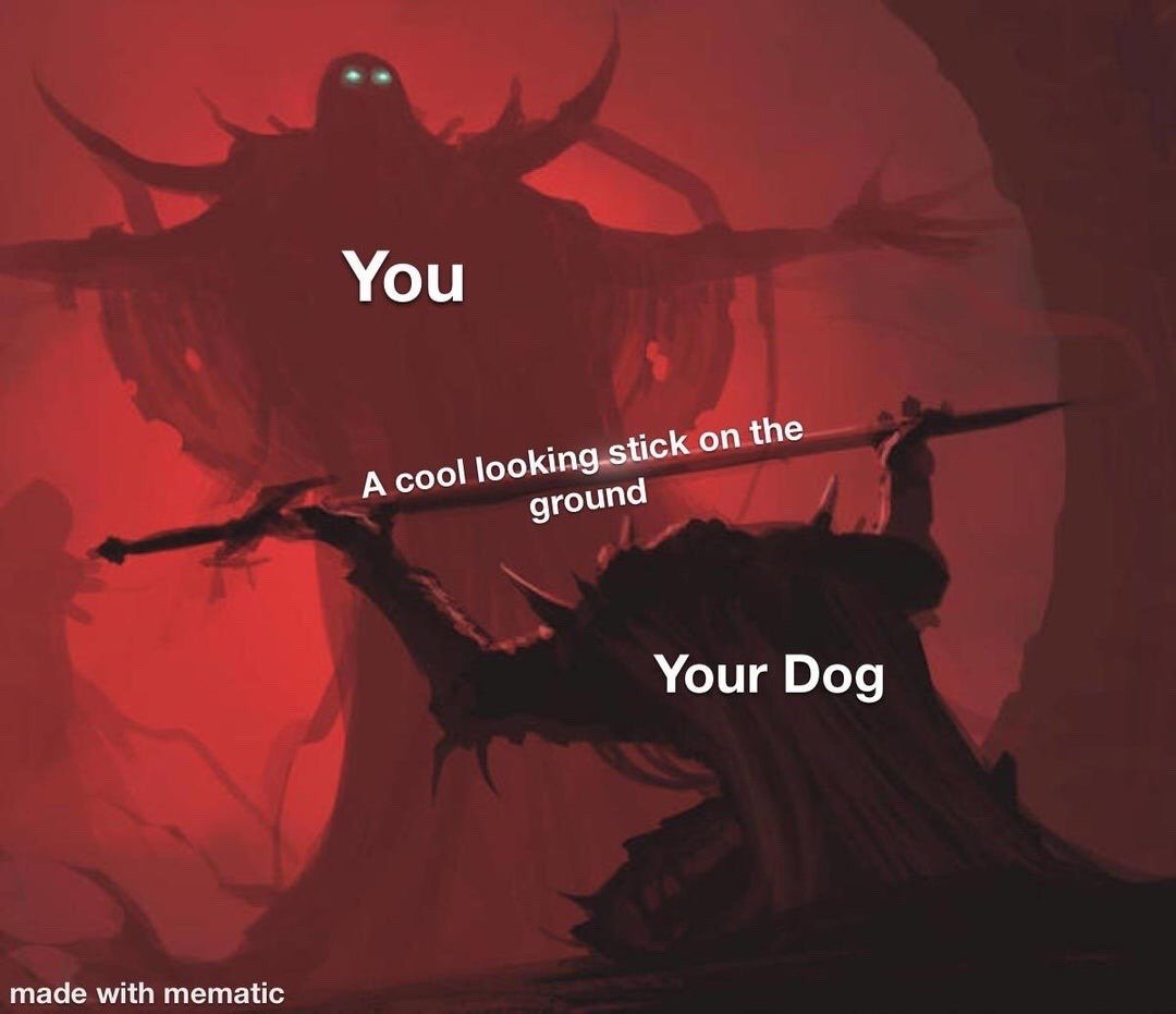 This humorous meme uses dark fantasy art of two imposing horned shadow giants facing off against each other in a red, hellish, ominous landscape. The taller towering giant looming over the other is labeled "You". The smaller kneeling giant holding a long spear/stick defensively is labeled "Your Dog". The stick itself is labeled "A cool looking stick on the ground". The joke exaggerates the extremely common, mundane real-life scenario where a dog will become instantly possessive of any random stick they find outside, framing the trivial disagreement between owner and pet as a high-stakes, epic fantasy battle.