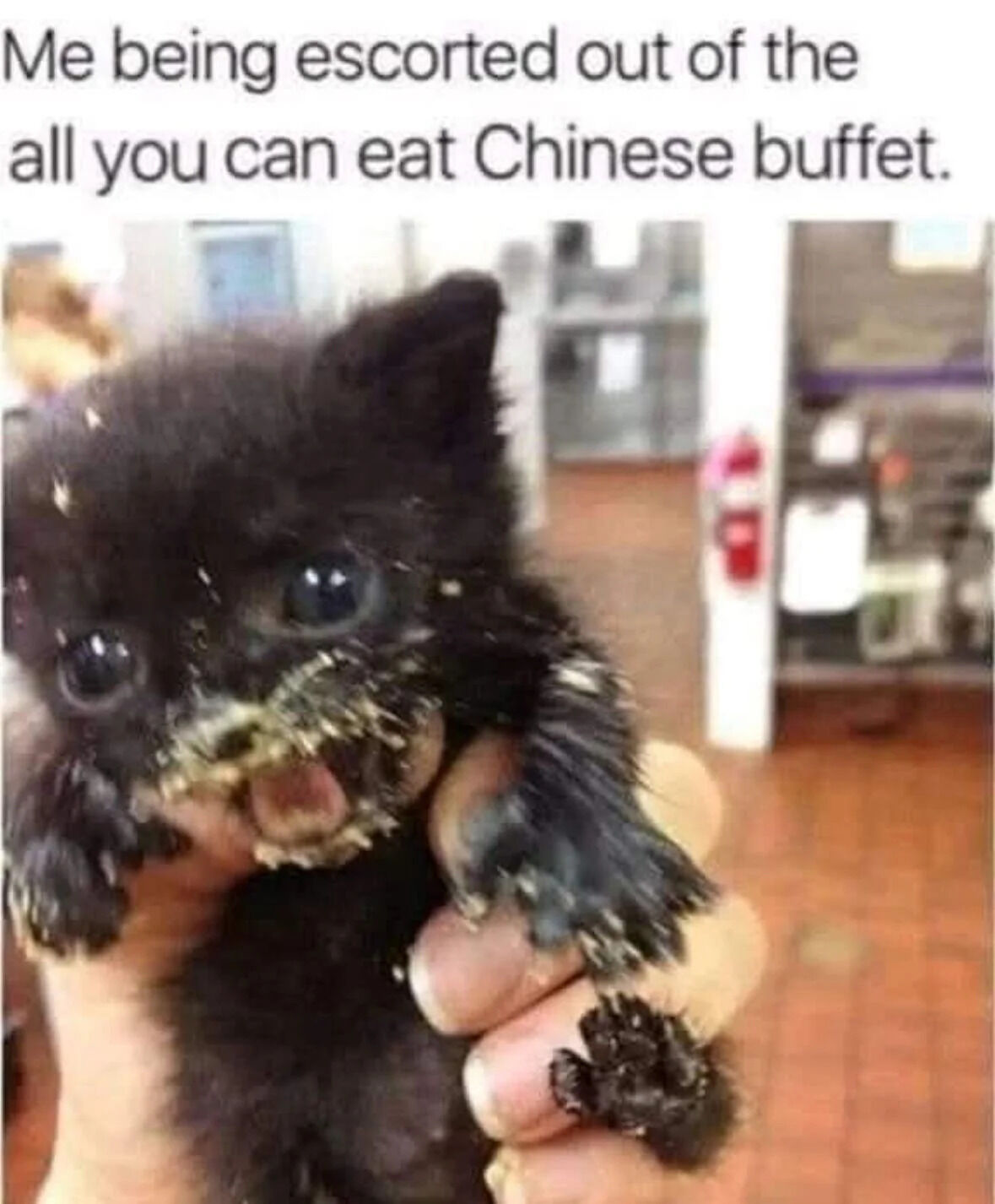 A meme featuring a small black kitten with food crumbs covering its face, mouth, and paws, being gently held by a person's hand. The background shows a blurred interior of what appears to be a restaurant or buffet, with visible counters and a fire extinguisher. The text at the top reads 'Me being escorted out of the all you can eat Chinese buffet,' creating a humorous analogy where the messy kitten represents a person who ate excessively or messily at a buffet, leading to being escorted out.