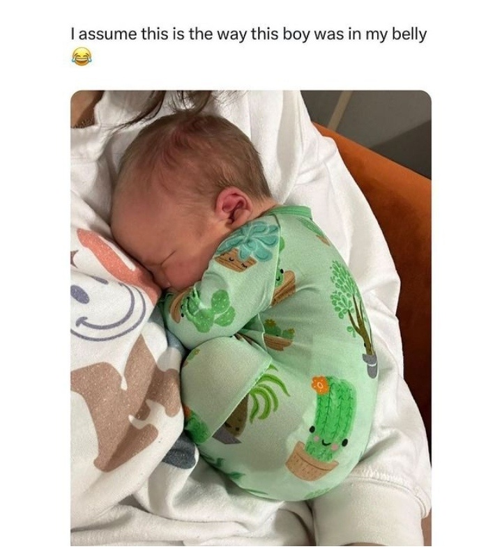 The image consists of a photograph of a sleeping newborn baby paired with a funny relatable caption. The baby is curled tightly into a fetal position, resting against the chest of an adult holding them who wears a white printed sweatshirt. The baby is wearing a light green onesie printed with cute cartoon illustrations of potted cacti and succulents. Above the photo, text reads 'I assume this is the way this boy was in my belly' followed by a laughing-crying emoji, which is a lighthearted joke from the baby's mother comparing the baby's current sleeping position to his position when he was in utero.