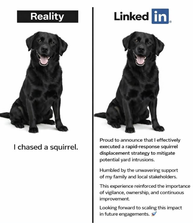 This is a two-panel comparison meme that satirizes the stark contrast between everyday reality and the overly formal, buzzword-heavy language commonly used on the professional networking platform LinkedIn. The left panel, labeled 'Reality', features a happy black Labrador retriever sitting upright with its mouth open and tongue out, paired with the simple, plain statement: 'I chased a squirrel.' The right panel, labeled with the official LinkedIn logo and 'LinkedIn', uses the exact same image of the dog, but accompanies it with inflated corporate jargon that frames the mundane act of chasing a squirrel as a sophisticated professional achievement: 'Proud to announce that I effectively executed a rapid-response squirrel displacement strategy to mitigate potential yard intrusions. Humbled by the unwavering support of my family and local stakeholders. This experience reinforced the importance of vigilance, ownership, and continuous improvement. Looking forward to scaling this impact in future engagements. 🦅'. The core joke relies on the absurdity of transforming a trivial, everyday action into an impressive-sounding professional update, mocking the widespread tendency of LinkedIn users to exaggerate ordinary tasks to appear more credible in a professional context.