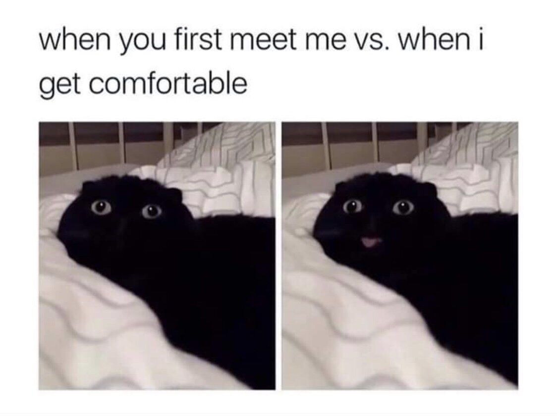 This two-panel meme uses real photos of a black cat to humorously and relatable contrast the difference between someone's reserved demeanor when meeting new people versus their relaxed, silly self once they feel comfortable. 

- Left panel: The cat has wide, calm eyes, appearing polite and composed, representing the initial, cautious phase of meeting someone new. 
- Right panel: The same cat sticks its tongue out in a goofy, unguarded expression, representing the relaxed, true self that emerges when feeling safe and comfortable. 

It resonates with audiences who experience social anxiety or feel more open once they build trust in social settings.