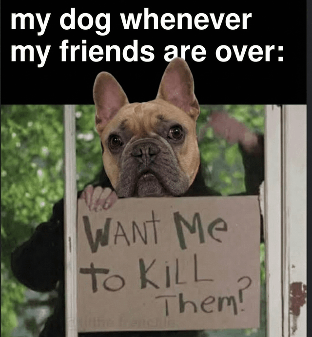 A meme featuring a French Bulldog peeking through a window with its front paws resting on the windowsill. The dog holds a handwritten sign that reads 'WANT ME TO KILL Them?' in uneven, uppercase letters. Above the dog, bold white text on a black background states: 'my dog whenever my friends are over:'. The humor arises from the absurd contrast between the dog's cute appearance and the violent message on the sign, creating a funny and lighthearted joke about pets behaving dramatically when friends visit.