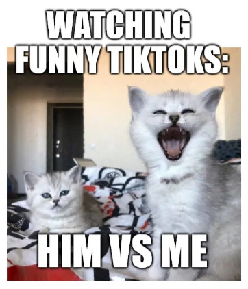 A meme image featuring two real cats sitting on a couch. The top text reads 'WATCHING FUNNY TIKTOKS:' and the bottom text reads 'HIM VS ME', humorously contrasting two different reactions to funny TikTok videos. The cat on the left has a neutral, calm expression, while the cat on the right appears excited with its mouth wide open, as if laughing intensely.