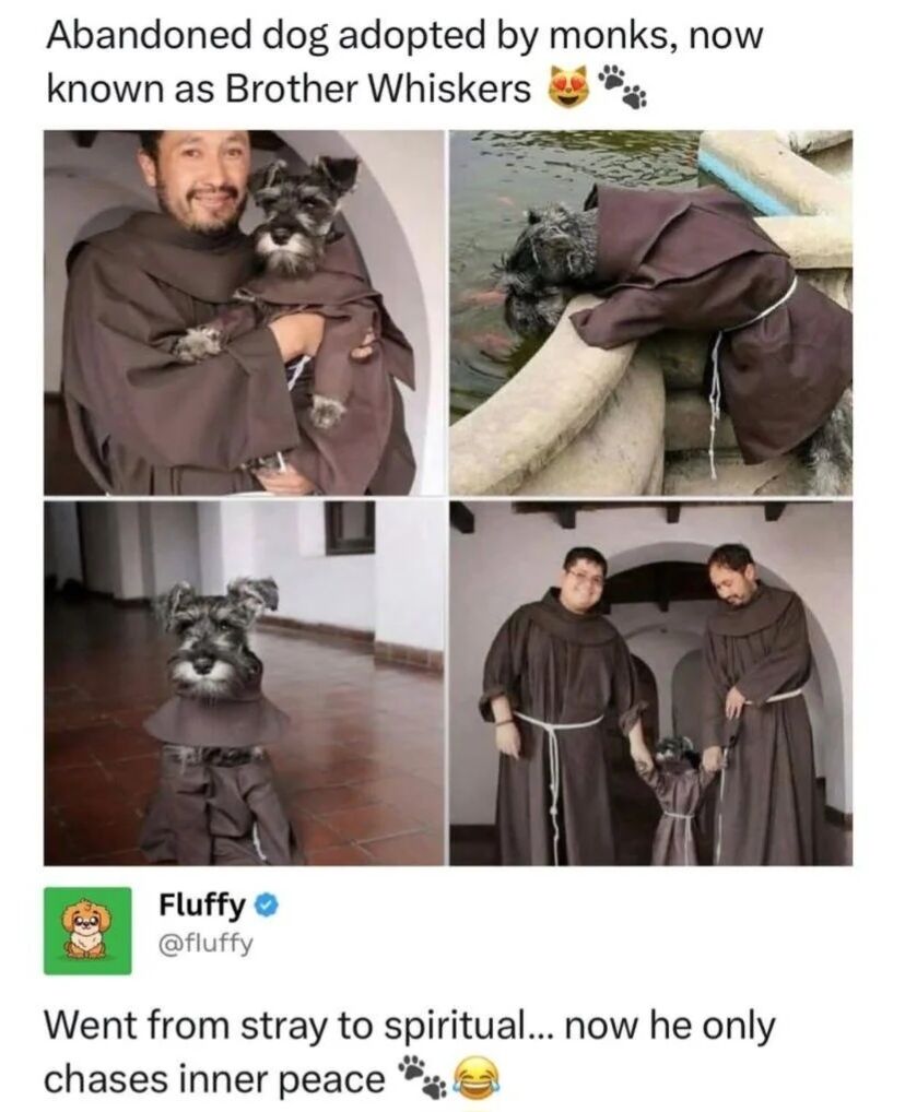 This is a 4-panel collage wholesome meme featuring a miniature schnauzer that was abandoned and later adopted by a community of monks, given the moniker Brother Whiskers. The first panel shows a smiling monk holding the dog, both wearing matching brown Franciscan-style monk robes. The second panel shows the dog in its custom small robe leaning over a stone ledge to look at fish in a pond. The third panel shows the dog standing alone in a monastery hallway, fully dressed in its robe. The fourth panel shows two monks holding the dog's front paws as it stands between them, all in matching robes. Below the collage is a tweet from the verified X account @fluffy that adds a punny comment about the dog's new lifestyle.