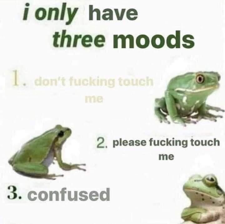 This is a single-panel relatable meme set against a plain white background. The header text at the top reads 'i only have three moods', followed by three numbered items each paired with a photograph of a green frog. The first item has faded text reading 'don't fucking touch me' paired with a neutral, stationary frog. The second item reads 'please fucking touch me' paired with a frog that appears to be leaning forward eagerly. The third item reads 'confused' paired with a frog that tilts its head upward with a vacant, bewildered expression. The humor comes from the relatable contrast between the two opposing desires for social space and affection, paired with the third common mood of general confusion.
