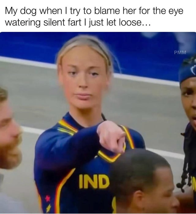 This is a captioned reaction meme. The text at the top reads: 'My dog when I try to blame her for the eye watering silent fart I just let loose...'. Below the text is a screenshot of blonde WNBA player Lexie Hull of the Indiana Fever, wearing her team uniform, pointing directly forward with a deadpan, unimpressed, accusatory expression. The joke draws a relatable comparison between the athlete's pointing gesture and a dog calling out their owner for lying about who passed a bad silent fart, instead shifting the blame onto the dog, a common humorous pet owner experience.