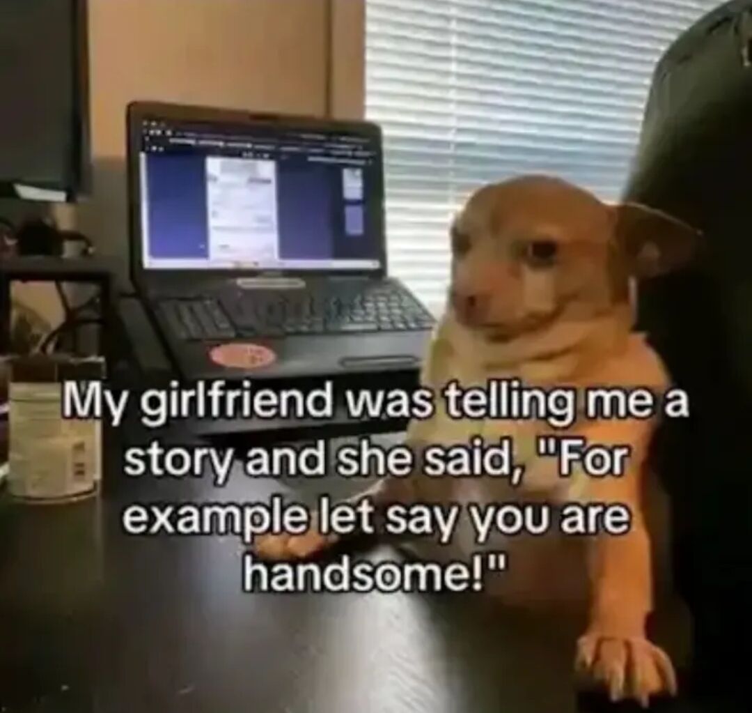 The meme features a small light brown dog sitting in an office chair at a desk, positioned in front of an open laptop with a blank, slightly deadpan, underwhelmed expression on its face. White overlaid text reads: 'My girlfriend was telling me a story and she said, "For example let say you are handsome!"' The joke lies in the implication that the compliment of being handsome is only used as a hypothetical example for the story, not a genuine statement, making the dog's unimpressed reaction relatable for people who have received backhanded or non-genuine compliments from their partners.