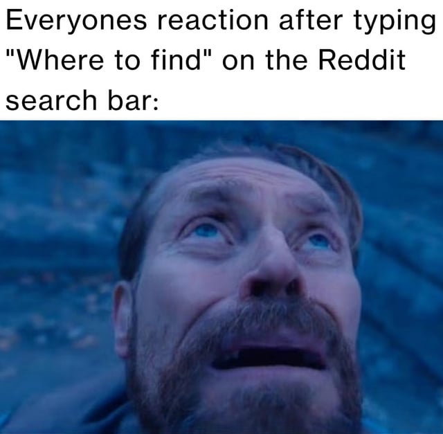 A meme featuring a top text overlay that reads: 'Everyones reaction after typing "Where to find" on the Reddit search bar:' followed by a close-up image of a real man with a thick beard, wide eyes, and an open mouth, looking upward with a shocked or desperate expression. The background is a blue-toned, blurred outdoor setting, suggesting the image is a screenshot from a dramatic film or television scene. The meme humorously conveys frustration or disbelief at the ineffectiveness of Reddit's search function when querying 'Where to find'.