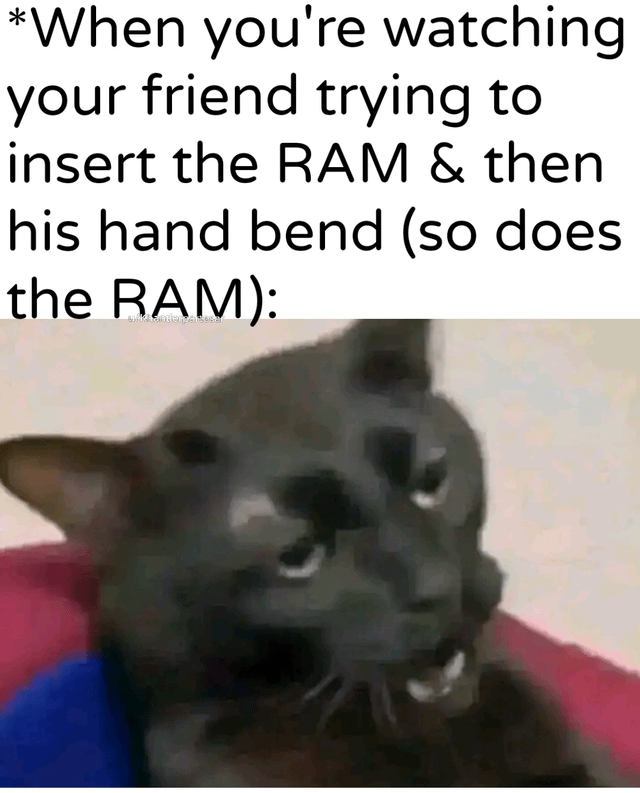A meme consisting of a top text block and an image. The top text reads: 'When you're watching your friend trying to insert the RAM & then his hand bend (so does the RAM):' Below the text is a photograph of a black cat with a visibly shocked, wide-eyed, and distressed expression. The cat's reaction humorously conveys the secondhand embarrassment or pain of witnessing a friend mishandle computer RAM, resulting in both the hand and RAM bending—an cringe-worthy tech mishap.