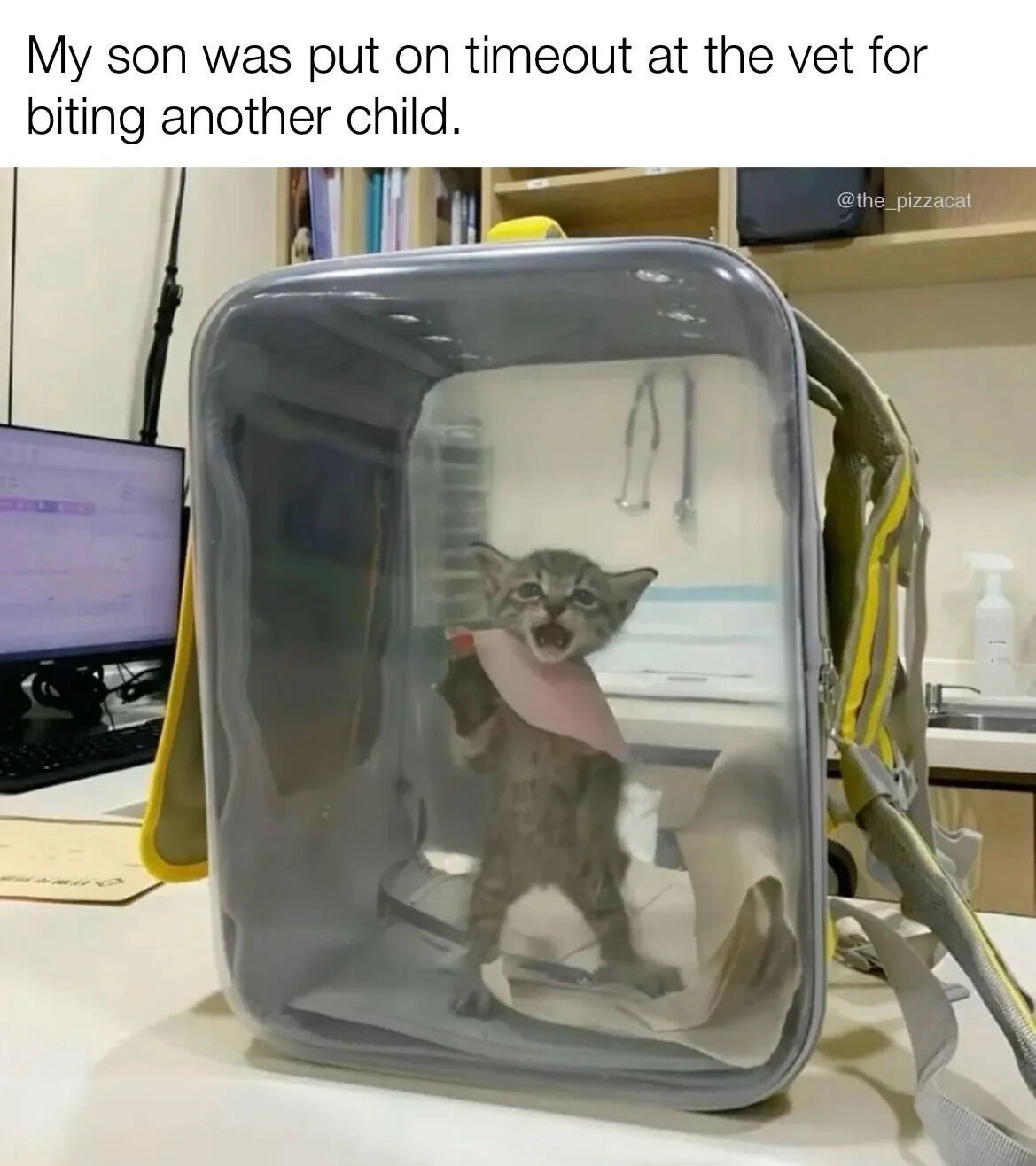 A humorous image featuring a small kitten inside a transparent pet carrier at a veterinary clinic. The kitten is standing on its hind legs with its mouth open, appearing to meow or yowl, suggesting it is upset. The carrier is placed on a counter in a vet office, with a computer monitor, medical supplies, and shelves with books visible in the background. Above the image, there is a caption that reads, 'My son was put on timeout at the vet for biting another child,' which anthropomorphizes the kitten as a misbehaving child being disciplined, creating a playful and funny scenario.
