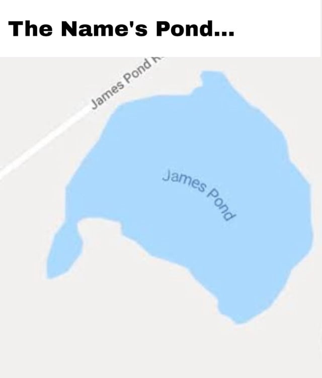This meme is a silly pun parody of the iconic James Bond introduction line *"The name's Bond... James Bond"*. The image displays a screenshot of a digital map showing a pond labeled **James Pond**, with an adjacent road partially labeled **James Pond R[oad]**. The top text *"The Name's Pond..."* sets up the joke, mirroring the structure of Bond's catchphrase to create a goofy, wordplay-driven punchline centered on the pond's name.