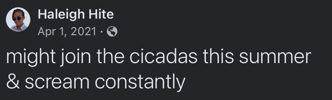 This is a screenshot of a public social media post. The text of the post reads "might join the cicadas this summer & scream constantly". The joke draws a humorous, relatable comparison between the poster's desire to release frustration by yelling nonstop and the loud, continuous droning noise produced by mass-emerging periodical cicadas in the summer months in parts of the United States. A profile photo of the poster, wearing sunglasses, is visible at the top left alongside their name and post date of April 1, 2021.