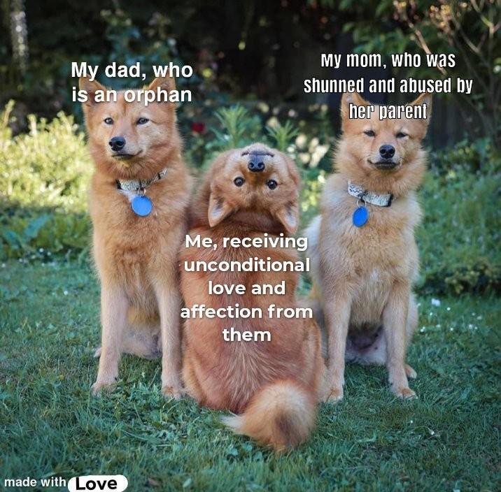 This wholesome animal meme uses a photograph of three fluffy light brown dogs sitting on green grass in a sunny outdoor garden. Two dogs sit upright on the left and right sides facing the camera with calm expressions, while a third dog sits between them with its back to the camera, its head tilted fully upside down to look at the viewer with a silly, happy expression. Text captions assign family roles to each dog: the left dog is labeled 'My dad, who is an orphan', the right dog is labeled 'My mom, who was shunned and abused by her parent', and the central upside down dog is labeled 'Me, receiving unconditional love and affection from them'. A small 'made with Love' watermark is located at the bottom left of the image. The meme conveys a heartfelt message about parents who endured hardship and trauma in their own childhoods choosing to give their child the safe, loving upbringing they never received themselves.